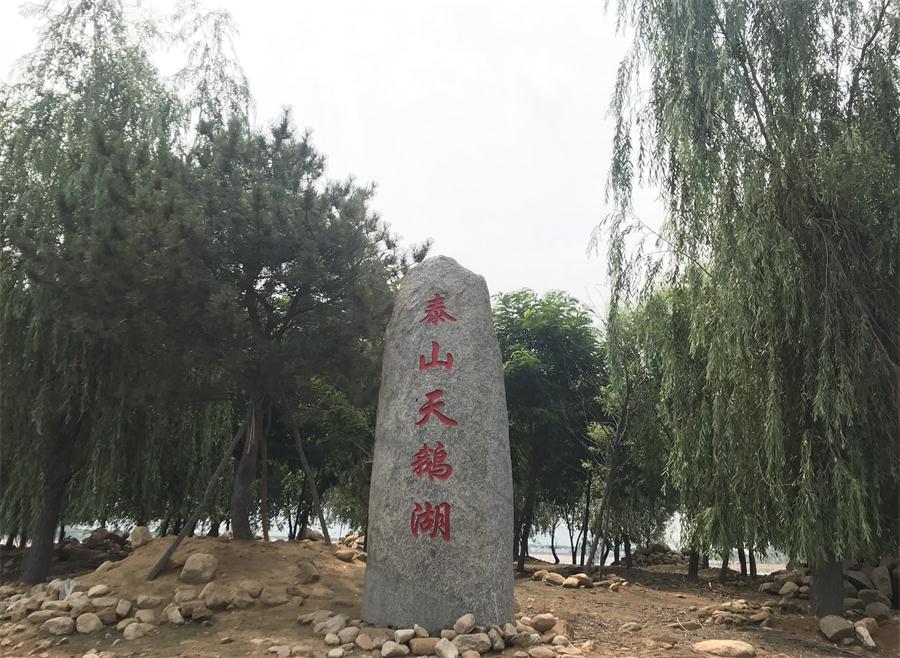 天鵝湖風(fēng)景區(qū)（泰山）速覽！(圖12)
