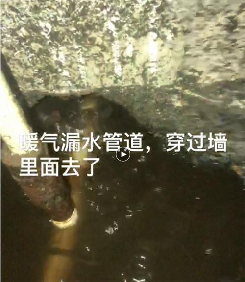 精準(zhǔn)檢測漏水、滲水：客廳、廚房、衛(wèi)生間。。。(圖4)