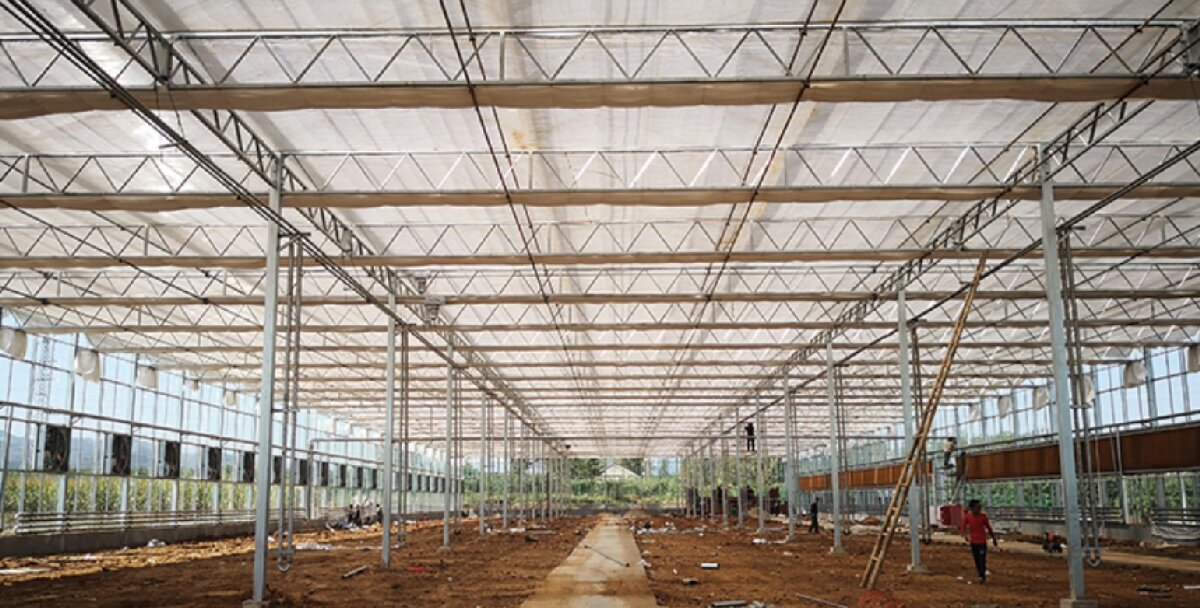 信橋鋼構：打卡蒙陰農(nóng)業(yè)溫室大棚、青州黑牛養(yǎng)殖基地！(圖3)