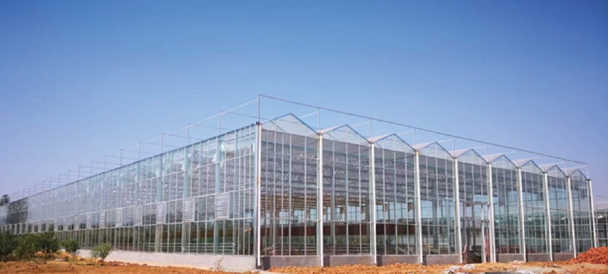 信橋鋼構：打卡蒙陰農(nóng)業(yè)溫室大棚、青州黑牛養(yǎng)殖基地！(圖2)